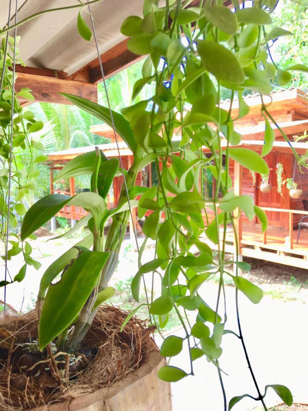 Lanta A Toi House Hotel Koh Lanta Bagian luar foto