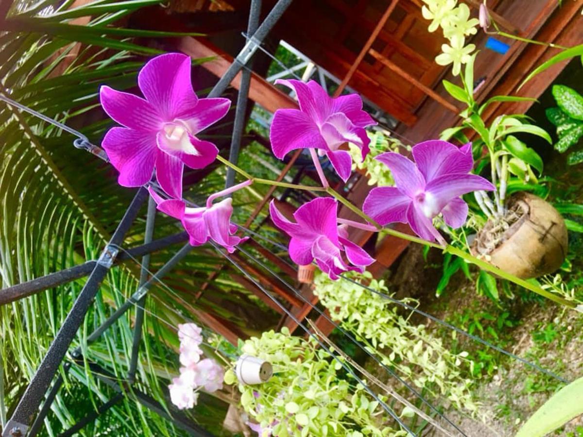 Lanta A Toi House Hotel Koh Lanta Bagian luar foto