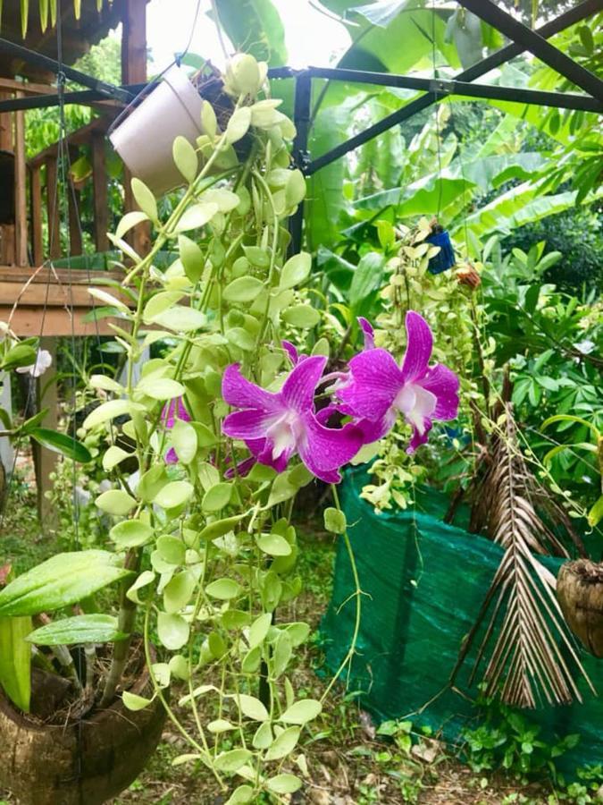 Lanta A Toi House Hotel Koh Lanta Bagian luar foto